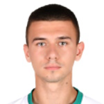 Стефан Гаврилов