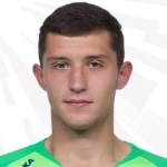 Н. Рыбиков