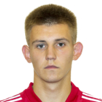 В. Илик