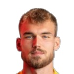 Давид Лудвичек