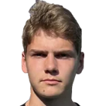 Н. Камаев