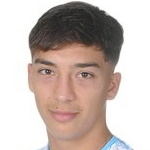 Н. Гайзлер