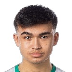 Александр Варнерюд