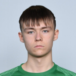 А. Гуннарссон